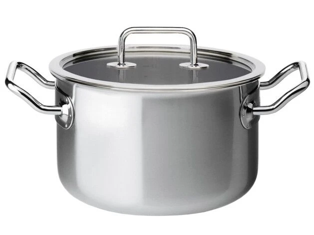 Spring Brigade Kookpan Met Glasdeksel ø 20 Cm Rvs